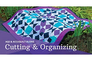 2024 AQS & AccuQuilt-Along: Simply Qubed Throw Quilt, Cutting & Organizing