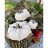 GO! Pumpkins Home Decor Pattern