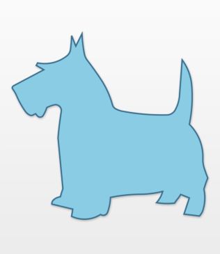 Studio Dog-Scottie