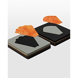 Studio Crescent Border-Spacer (2-Die Set) (Large)