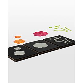 Studio Rose Sampler (3-Die Set) (Jumbo)