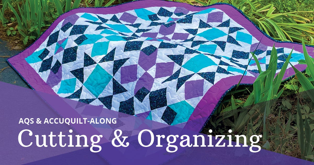 2024 AQS & AccuQuilt-Along: Simply Qubed Throw Quilt, Cutting & Organizing