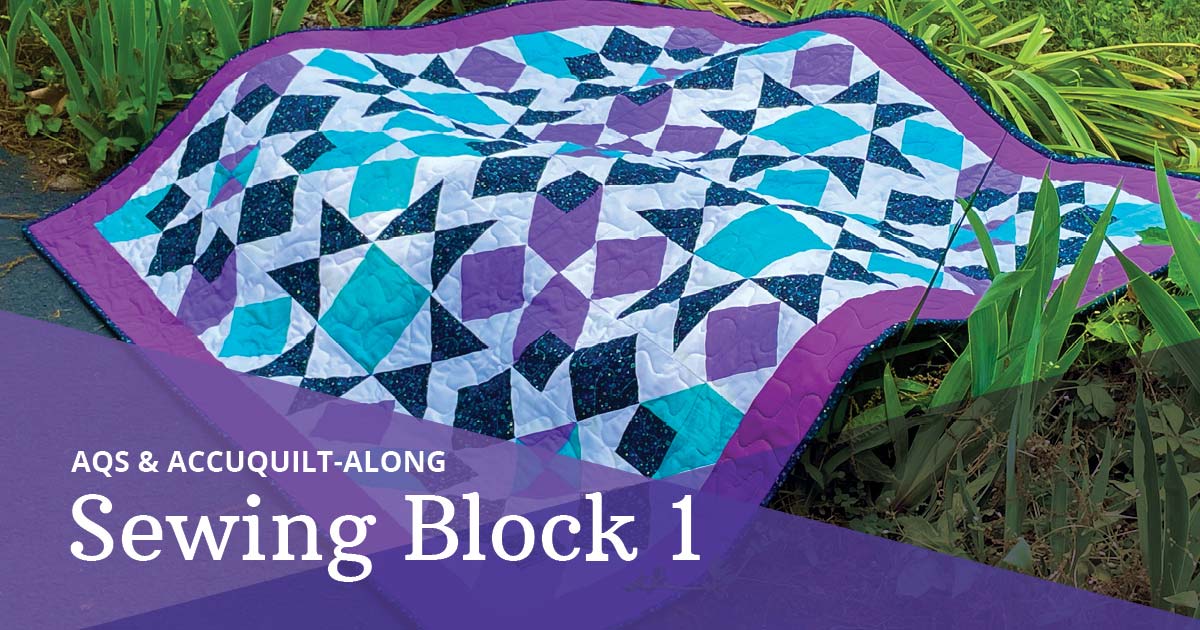 2024 AQS & AccuQuilt-Along: Simply Qubed Throw Quilt, Sewing Block 1