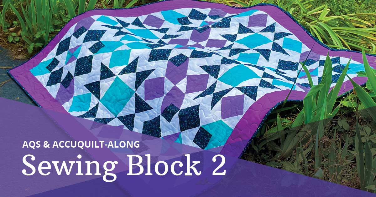 2024 AQS & AccuQuilt-Along: Simply Qubed Throw Quilt, Sewing Block 2