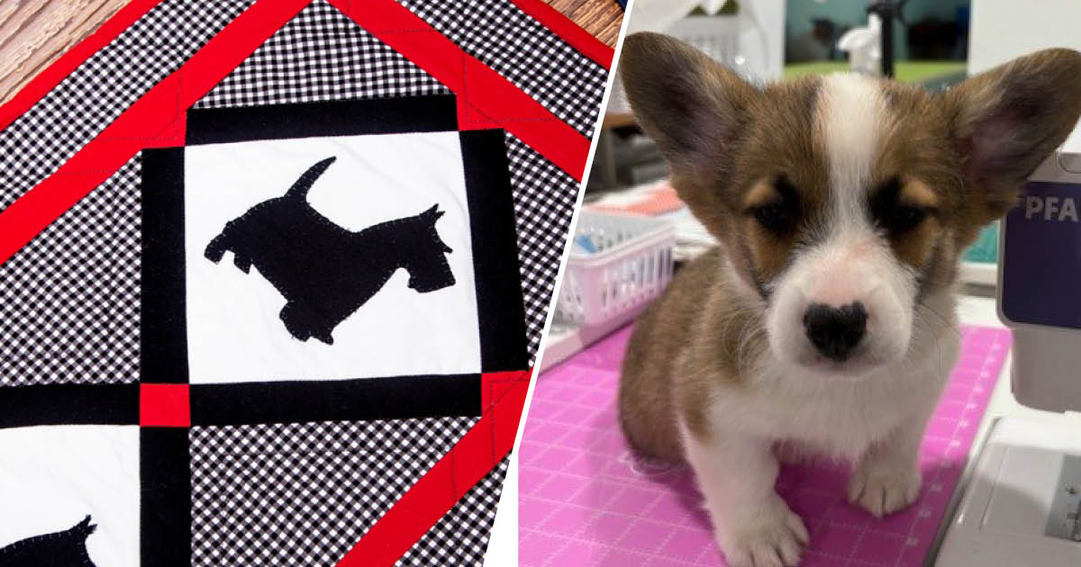 7 Dog-Themed Quilt Patterns and Sewing Ideas